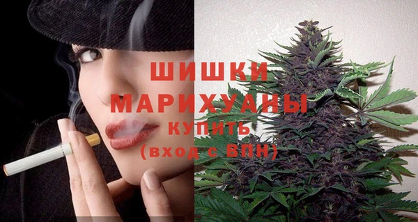 стаф Аркадак