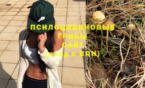 ГАЛЛЮЦИНОГЕННЫЕ ГРИБЫ Армянск