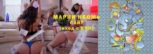стаф Аркадак