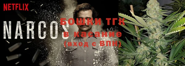 ГАЛЛЮЦИНОГЕННЫЕ ГРИБЫ Армянск