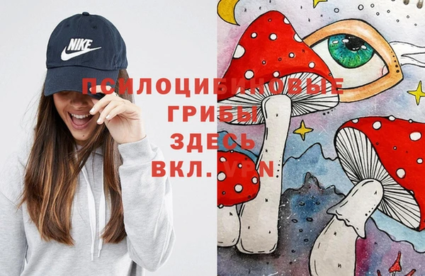 ГАЛЛЮЦИНОГЕННЫЕ ГРИБЫ Армянск