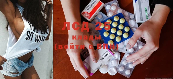 стаф Аркадак