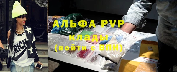 стаф Аркадак