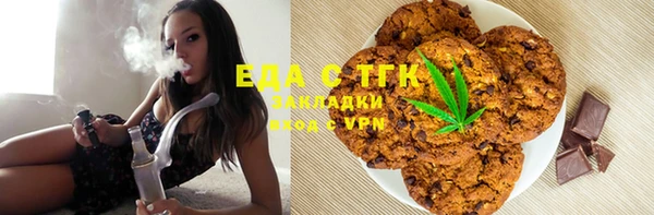 стаф Аркадак